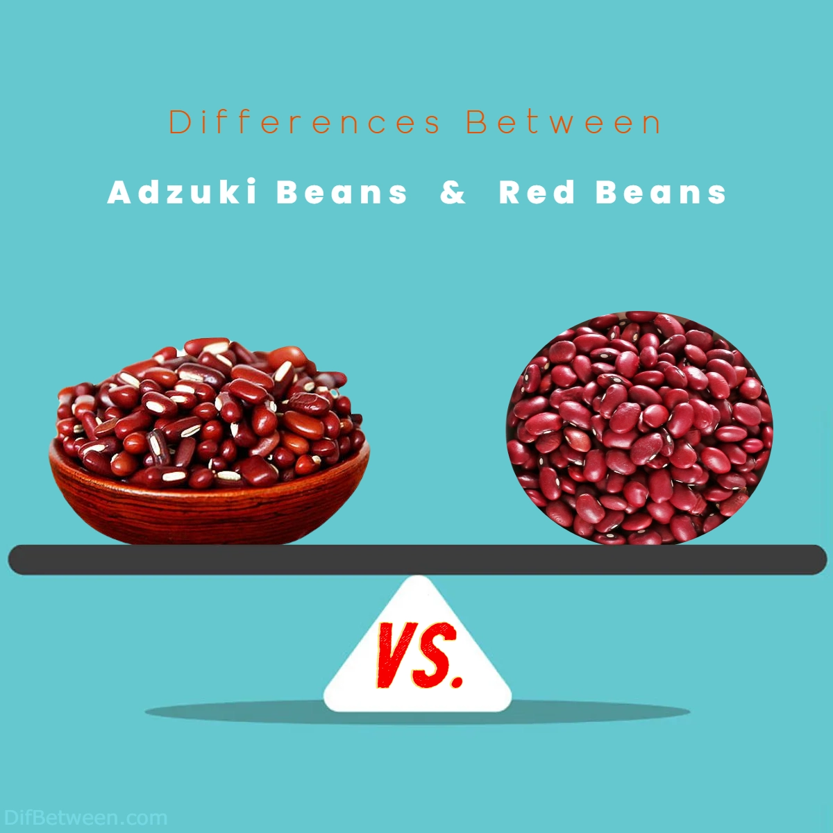 Difference Between Adzuki Beans and Red Beans