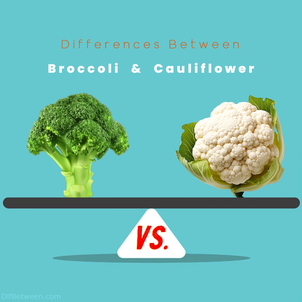 Difference Between Broccoli and Cauliflower