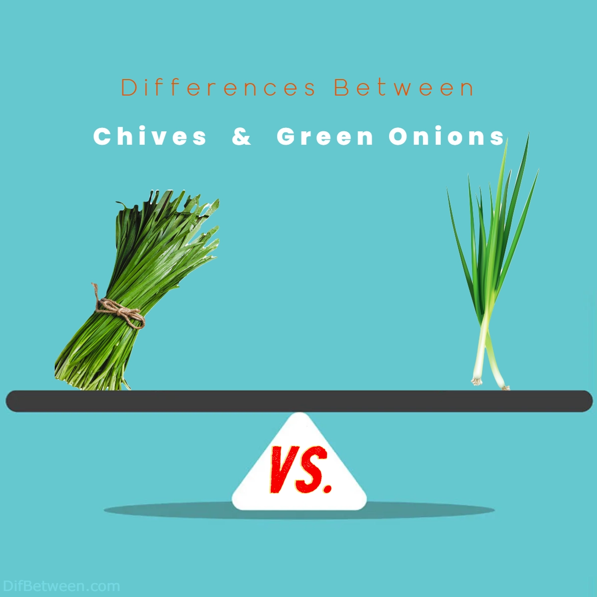 Difference Between Chives and Green Onions