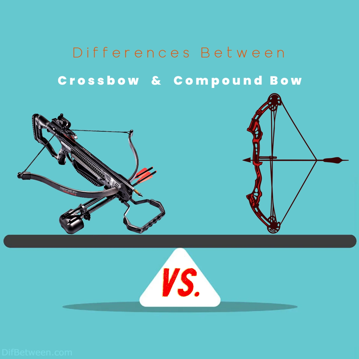 Difference Between Crossbow and Compound Bow