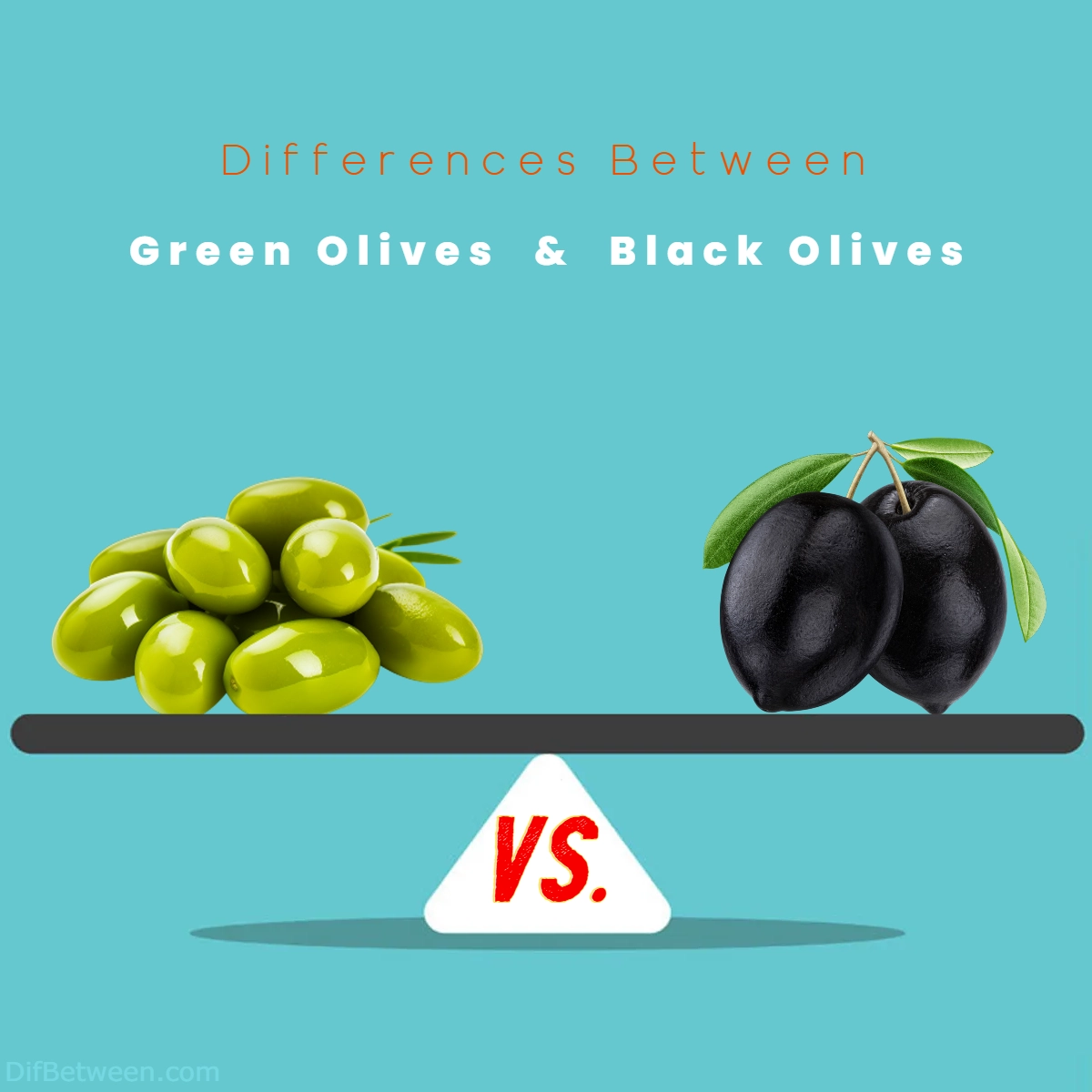 Difference Between Green and Black Olives