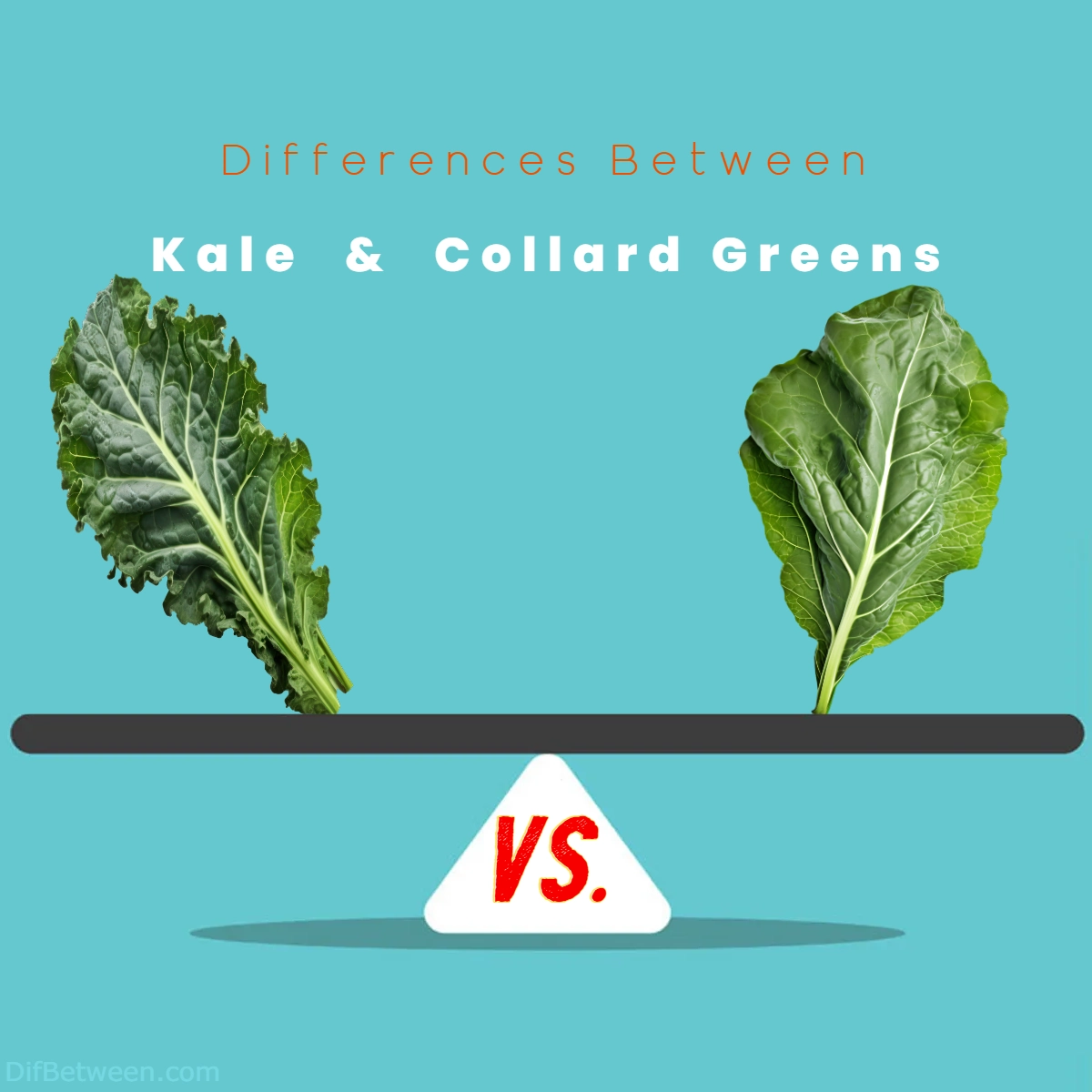 Difference Between Kale and Collard Greens