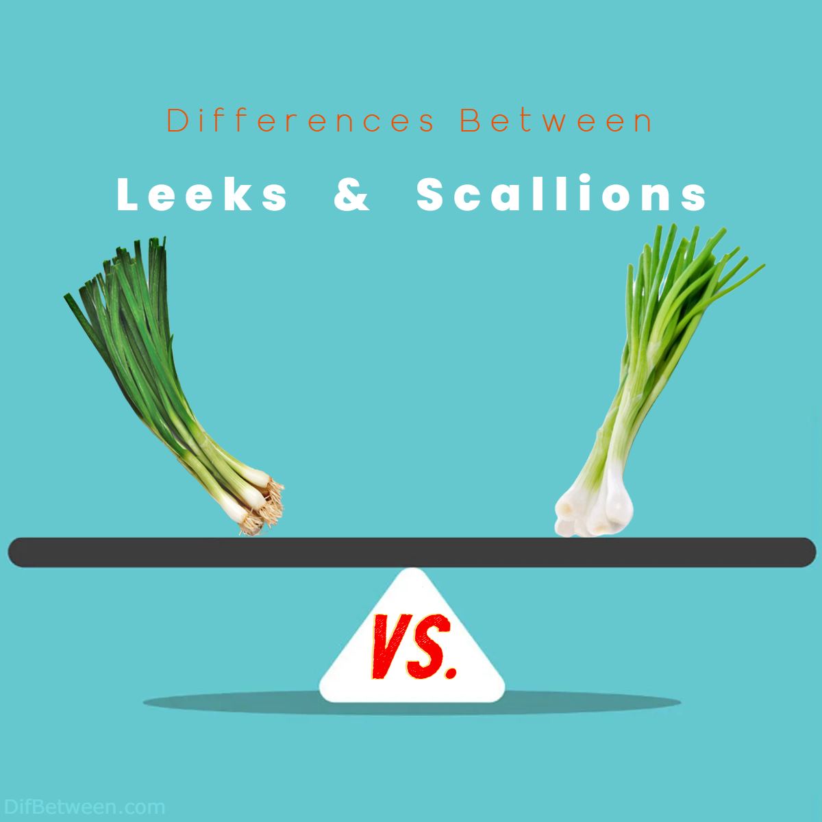 Difference Between Leeks and Scallions