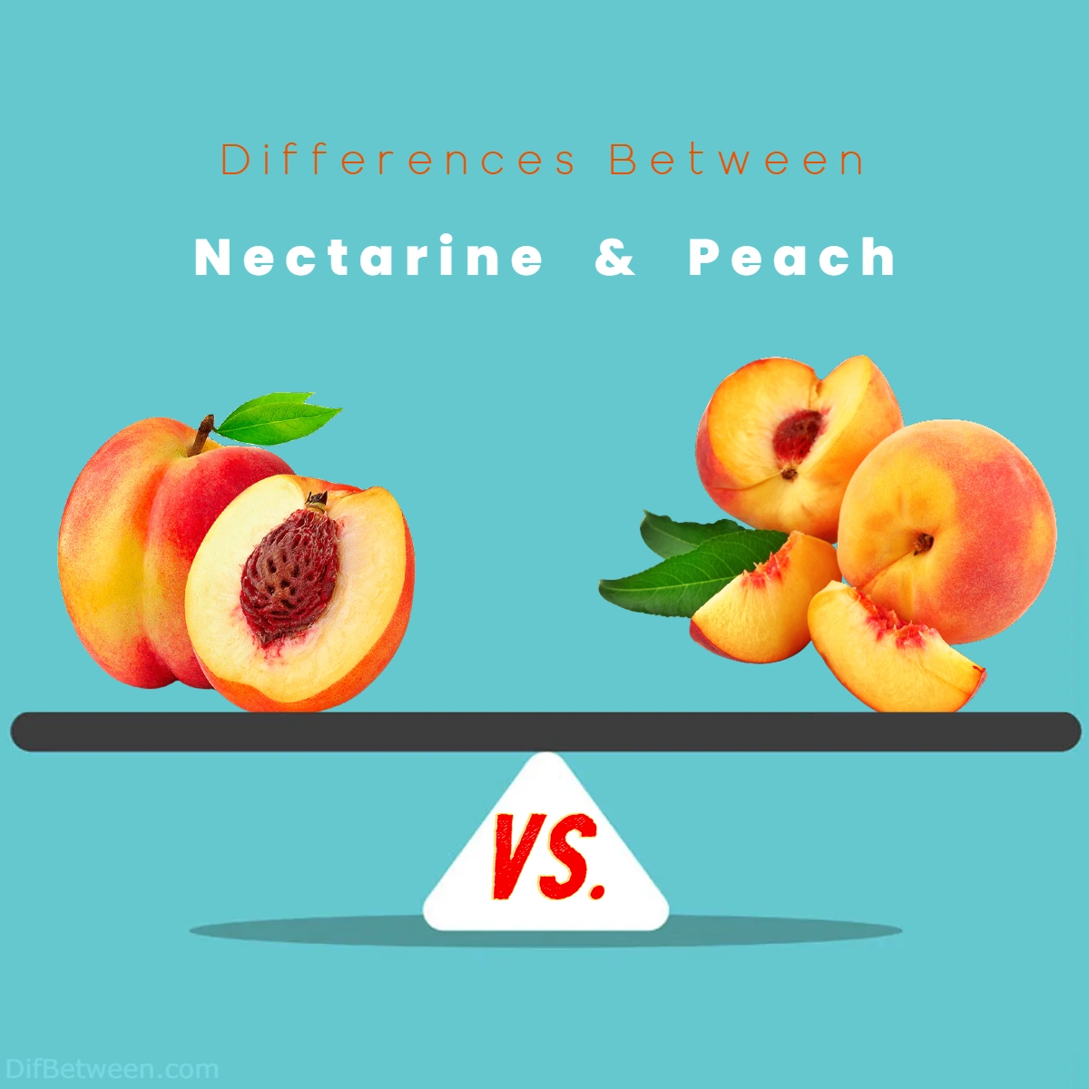 Difference Between Nectarine and Peach