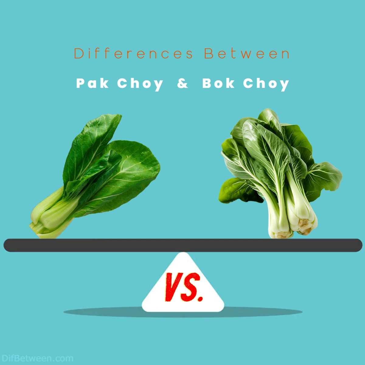 Difference Between Pak Choy and Bok Choy