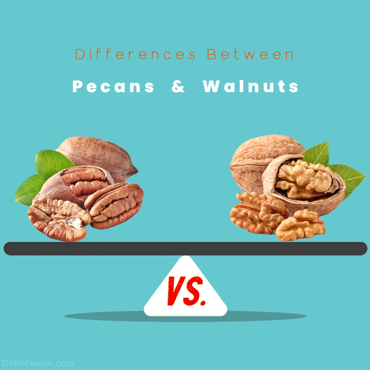 Difference Between Pecans and Walnuts