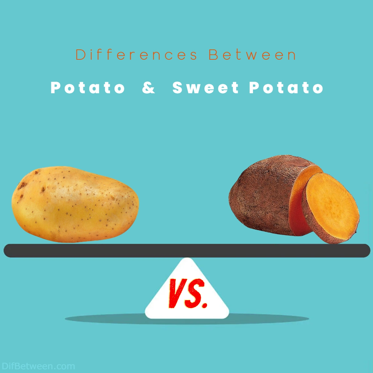 Difference Between Potato and Sweet Potato