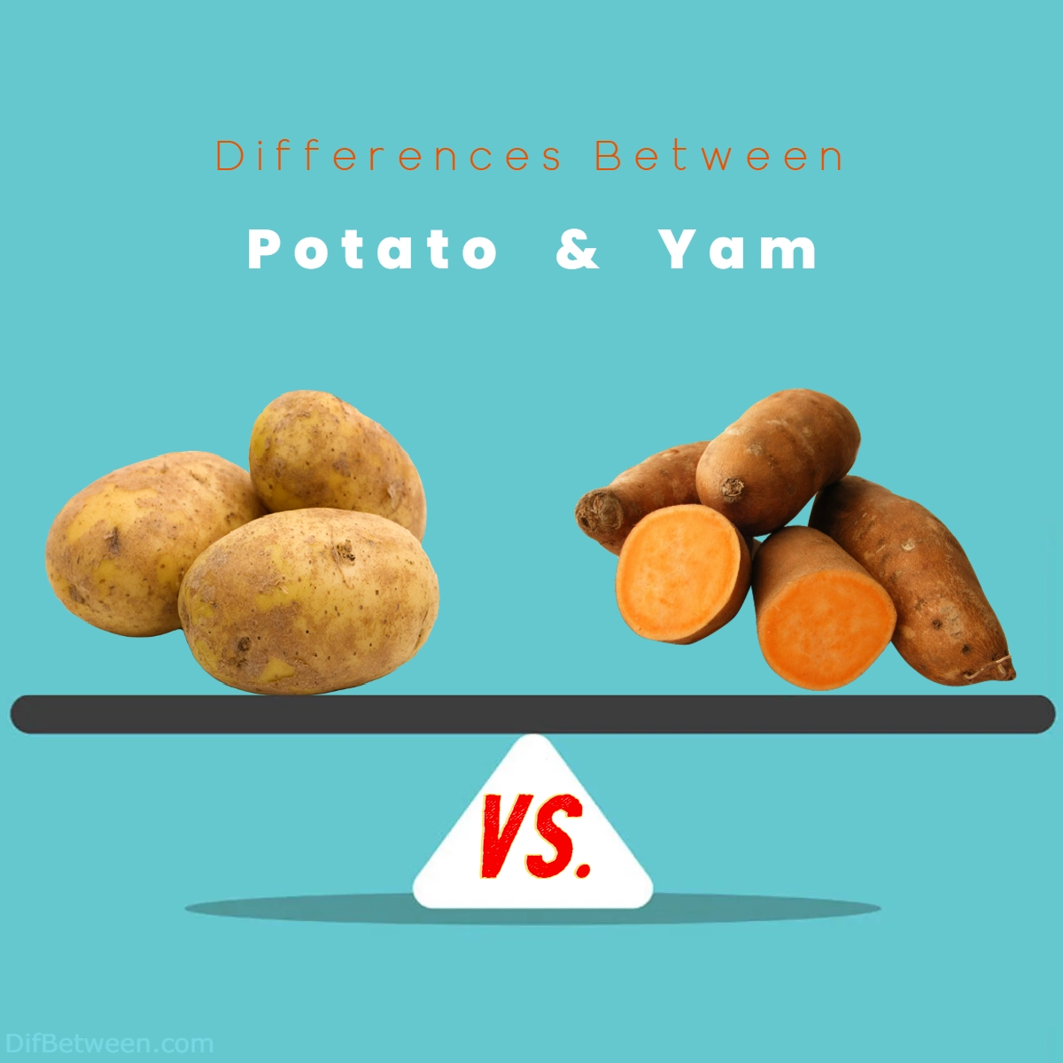 Difference Between Potato and Yam