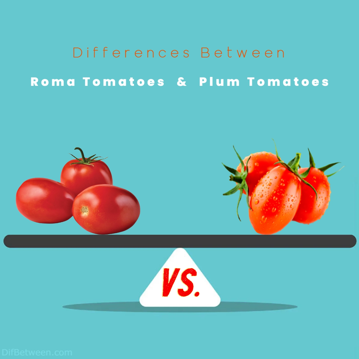 Difference Between Roma and Plum Tomatoes