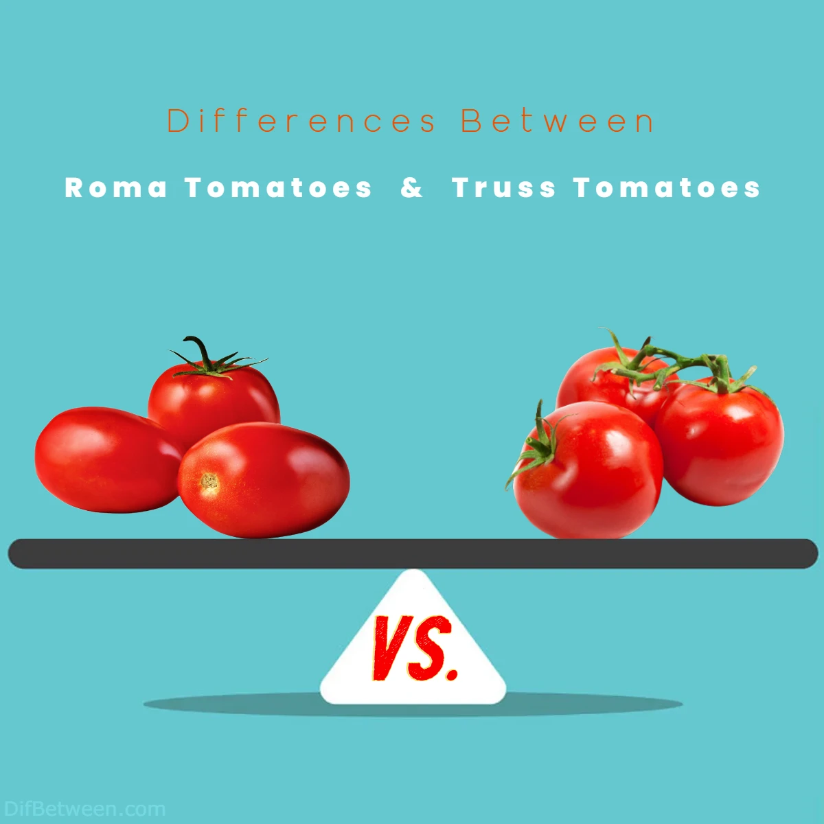 Difference Between Roma and Truss Tomatoes