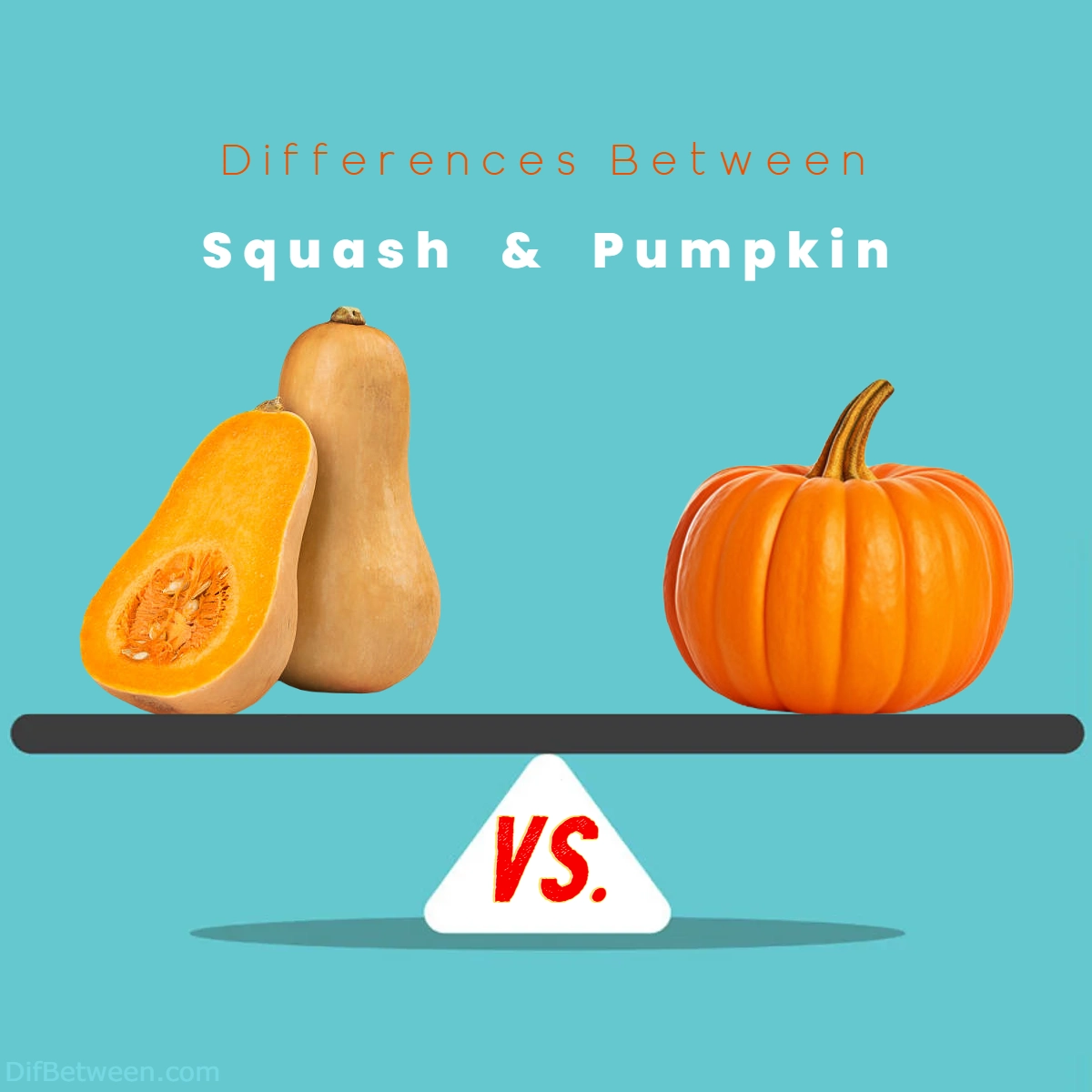 Difference Between Squash and Pumpkin