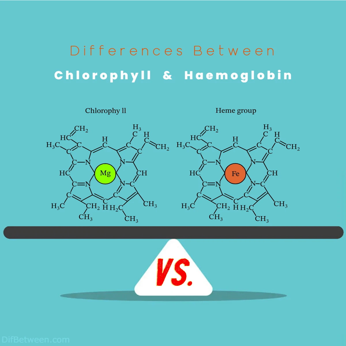 Chlorophyll Vs Hemoglobin Contrasts And Roles 