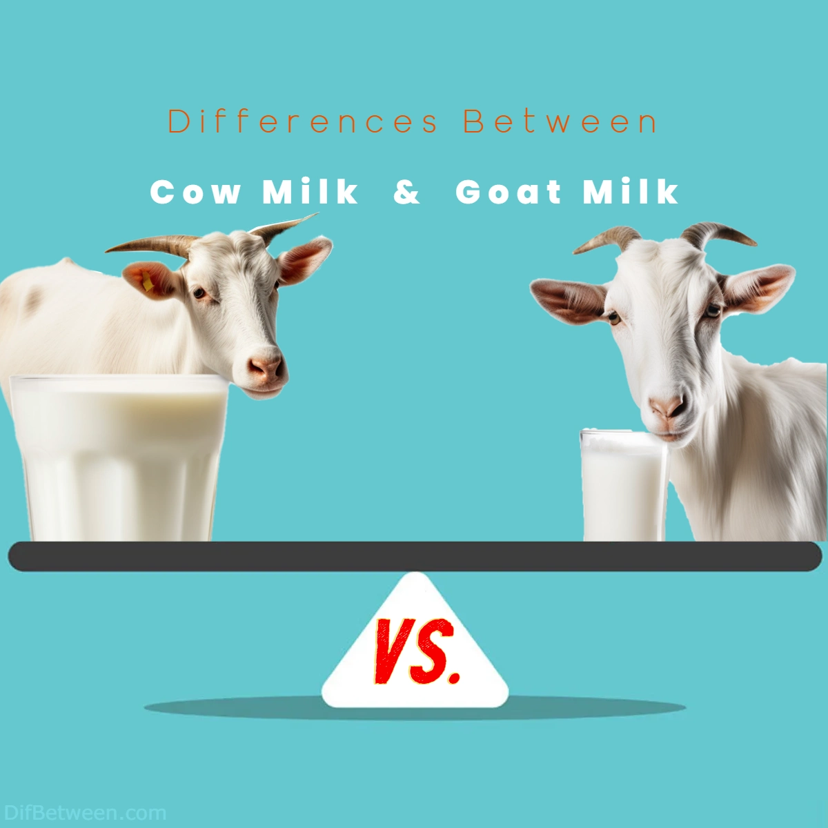 Differences Between Cow Milk and Goat Milk