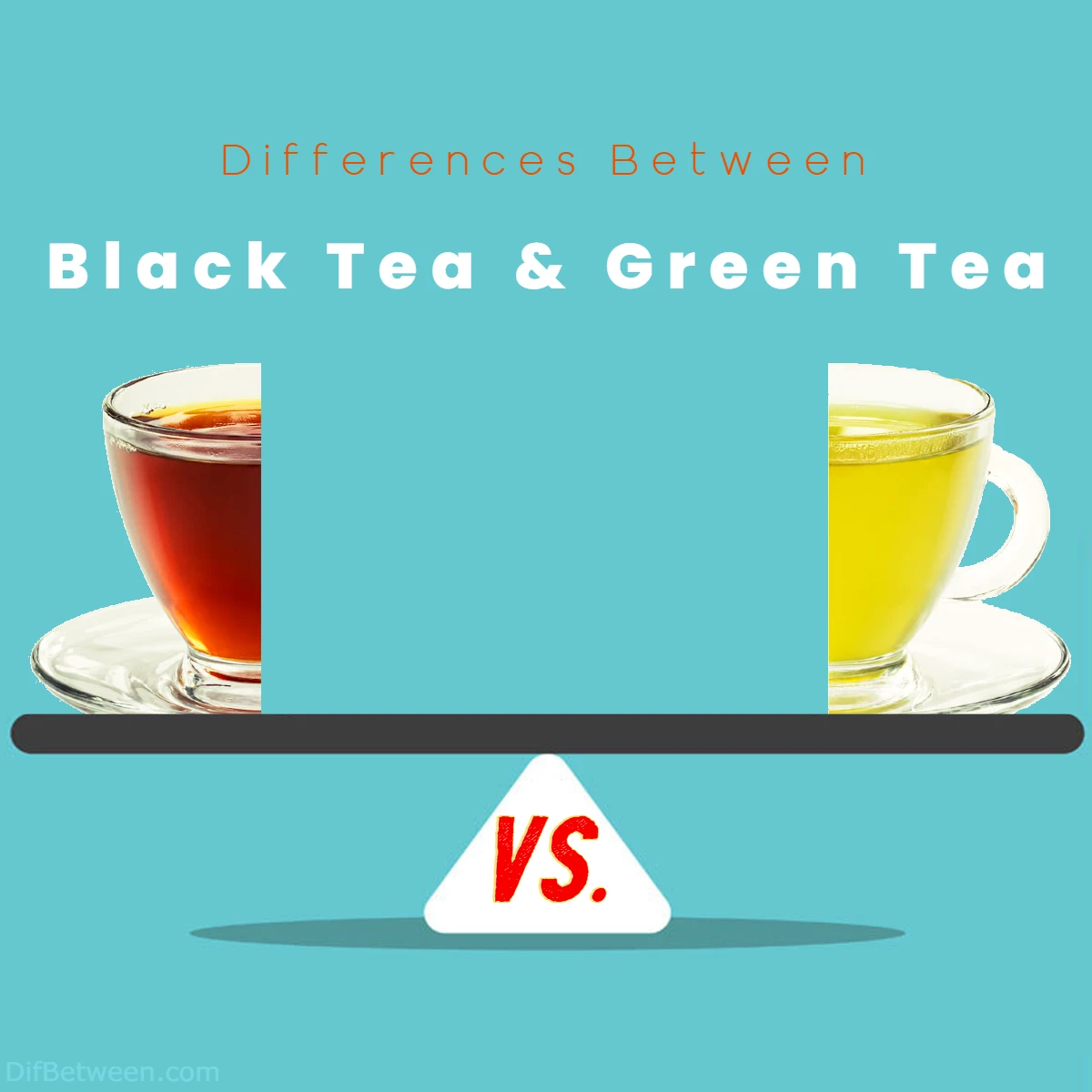 Differences Between Green Tea and Black Tea