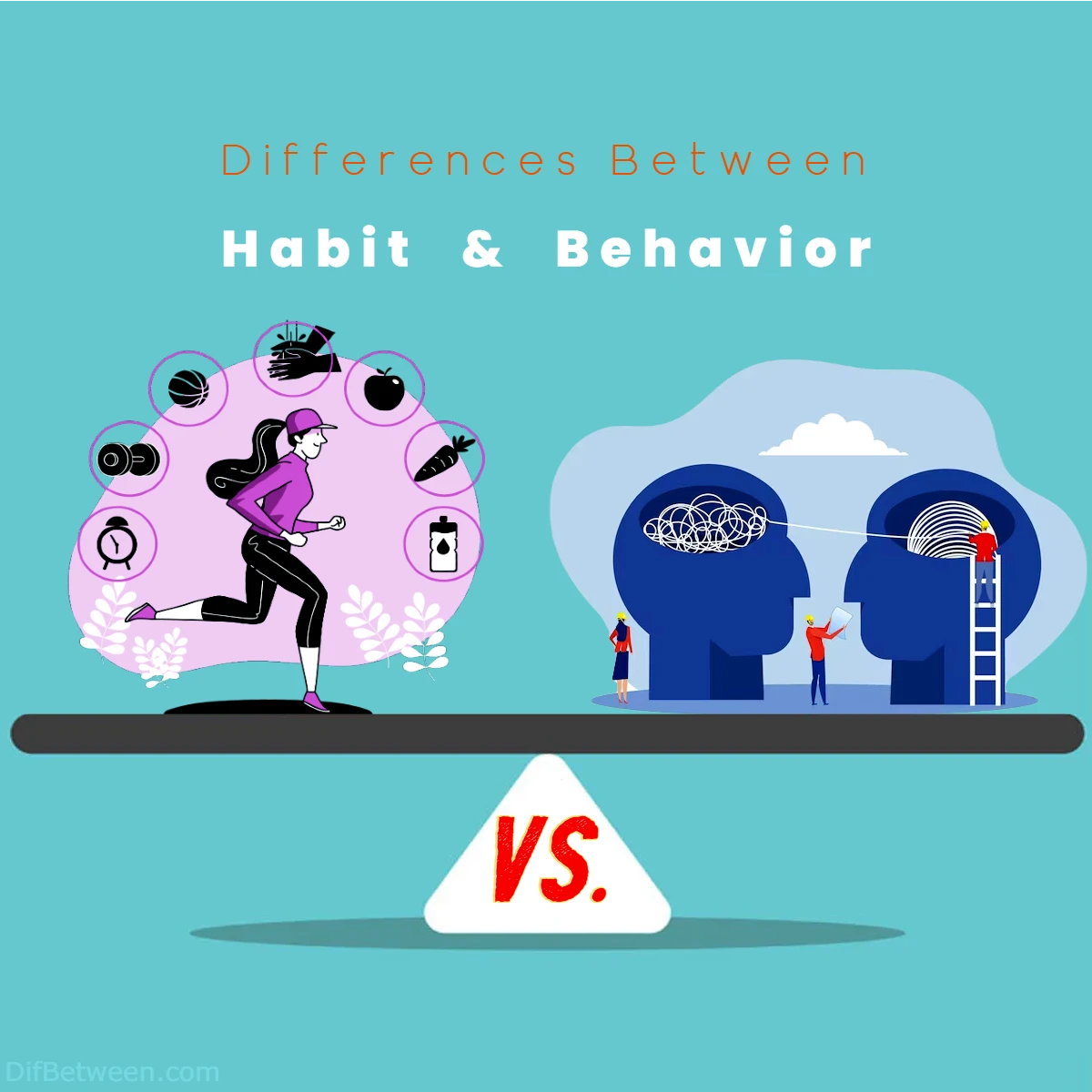Differences Between Habit vs Behavior