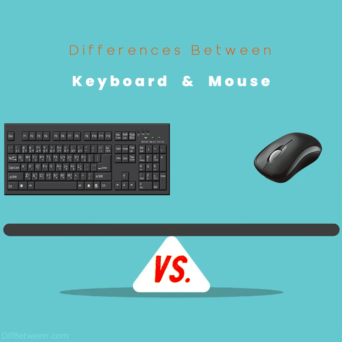 Differences Between Keyboard vs Mouse