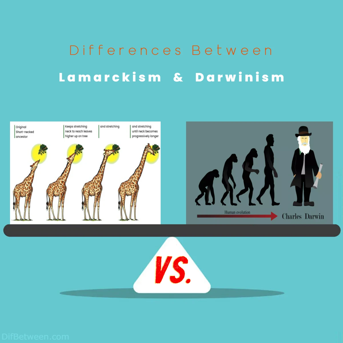 Differences Between Lamarckism vs Darwinism