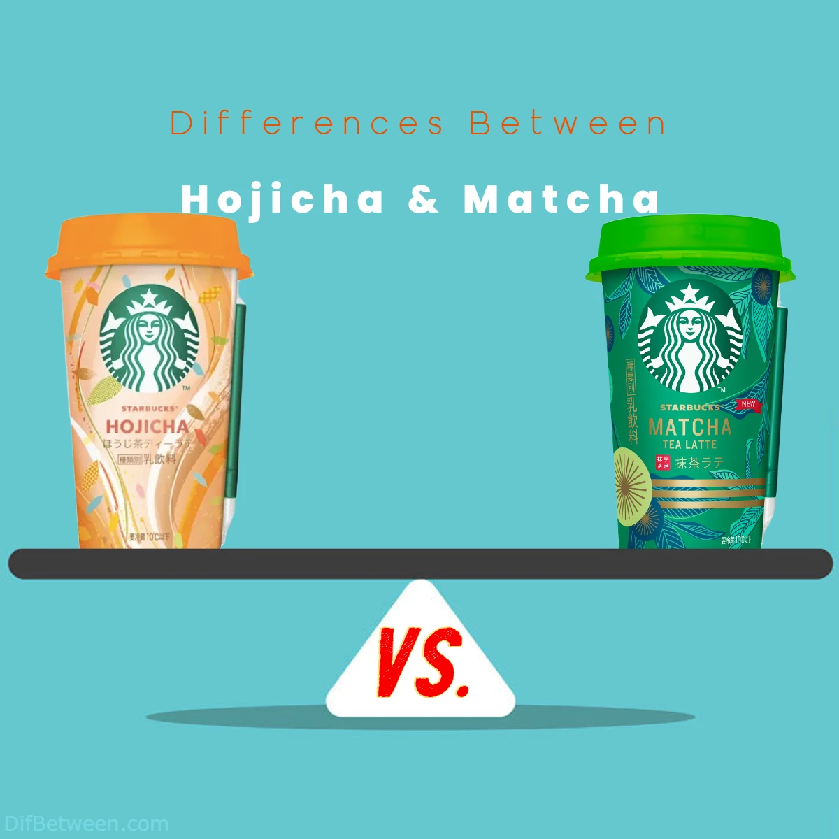 Differences Between Matcha and Hojicha
