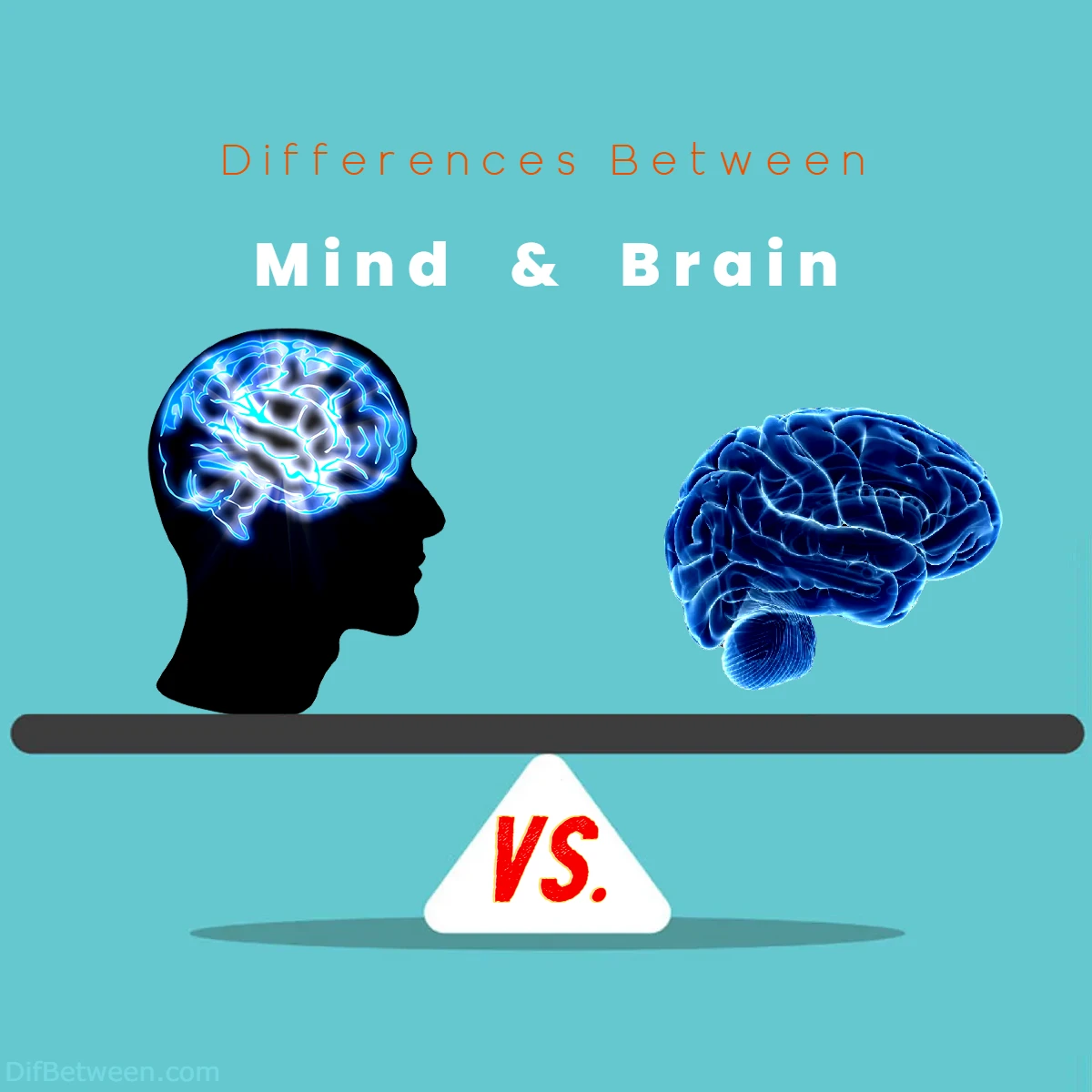 Differences Between Mind vs Brain