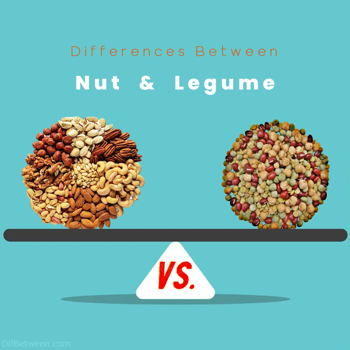 Differences Between Nut and Legume
