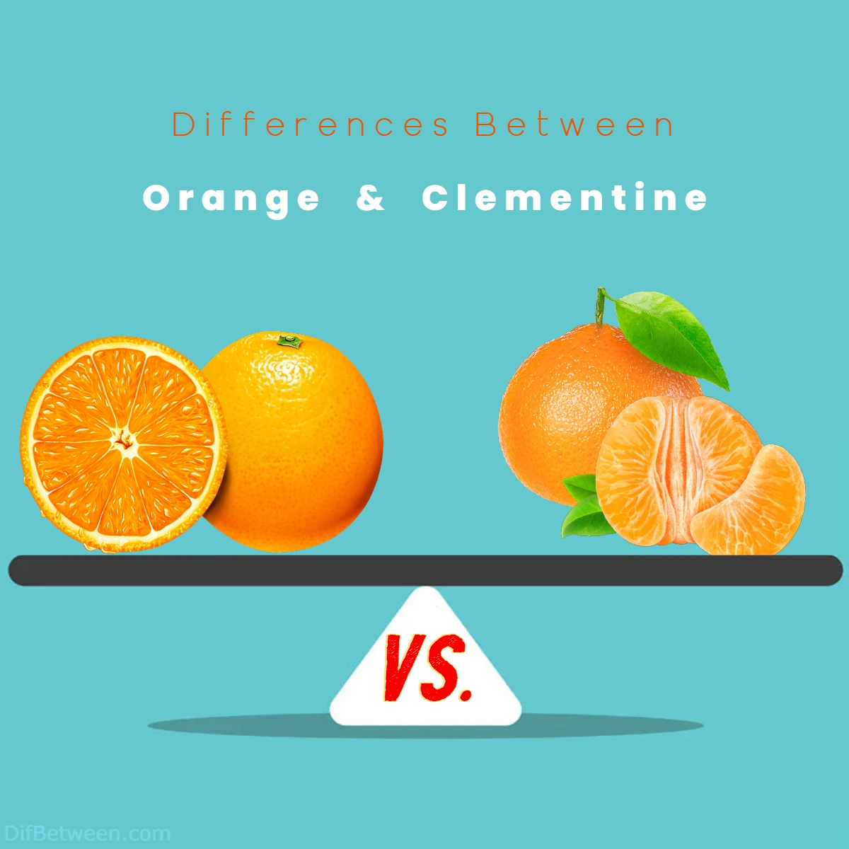 Differences Between Orange vs Clementine