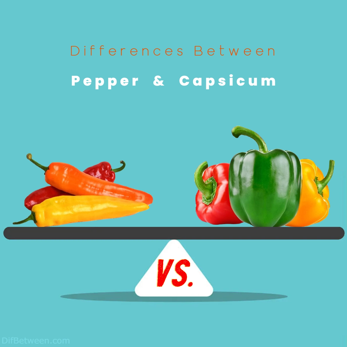 Differences Between Pepper and Capsicum