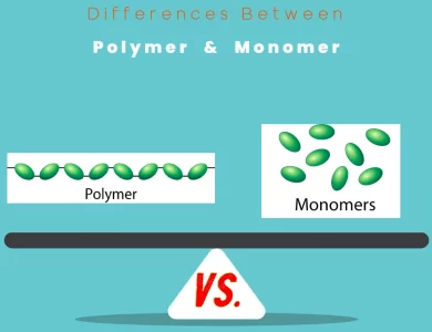 Differences Between Polymer vs Monomer