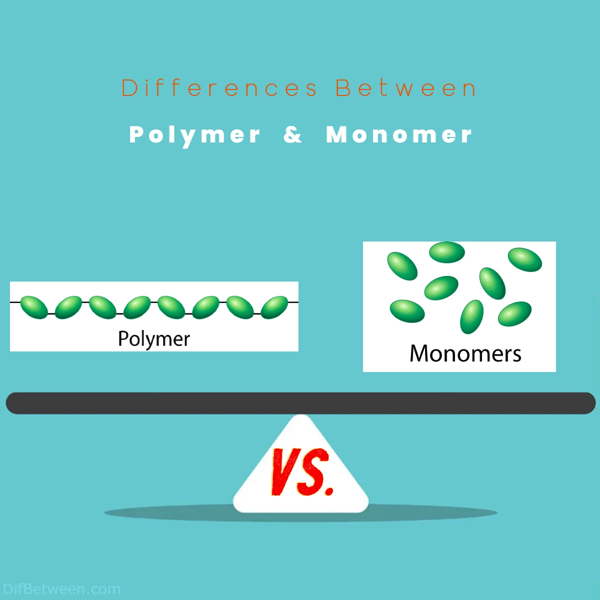 Differences Between Polymer vs Monomer