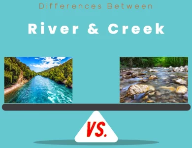 Differences Between River and Creek