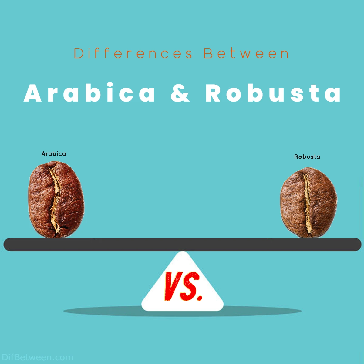 Differences Between Robusta and Arabica