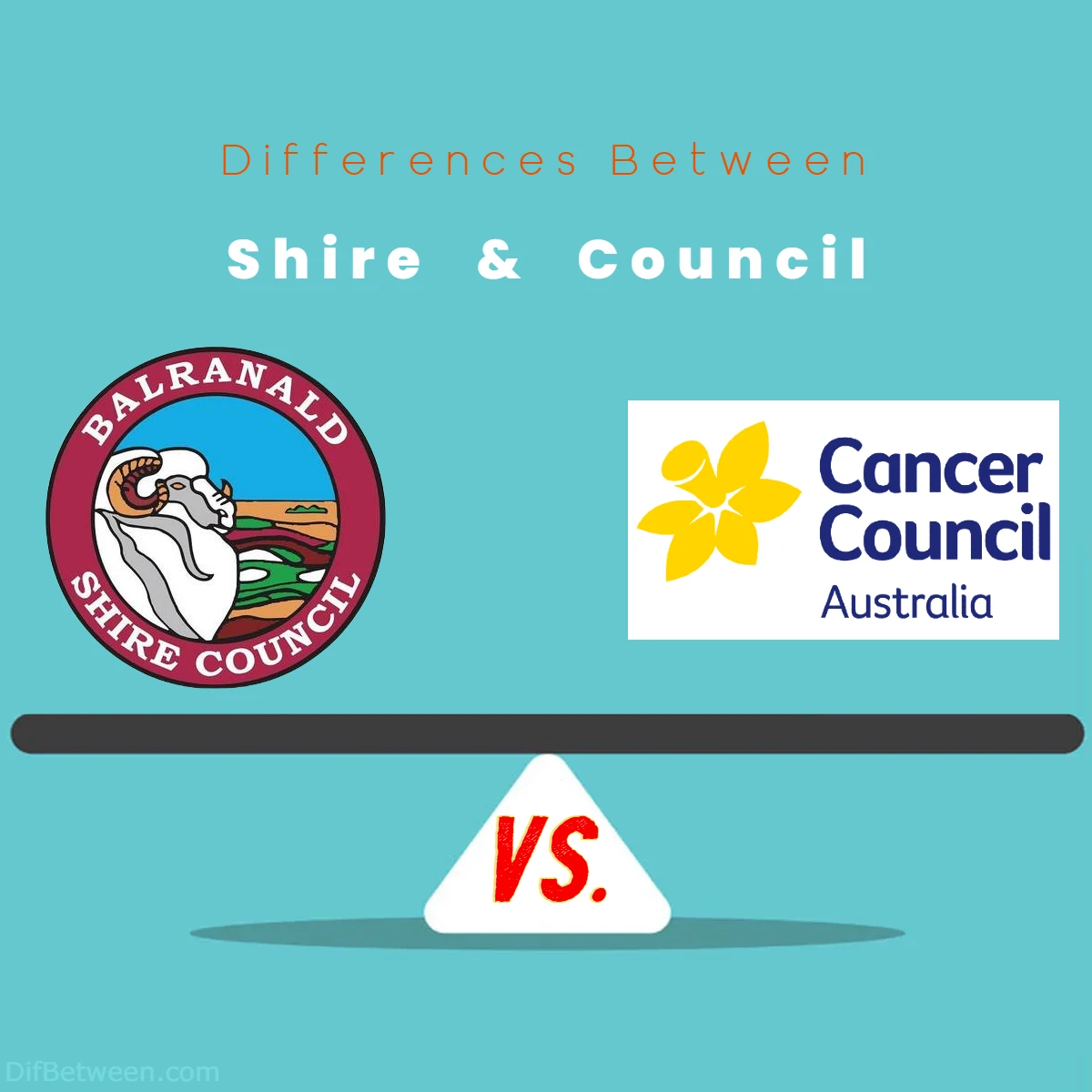 Shire vs. Council Key Differences Explained