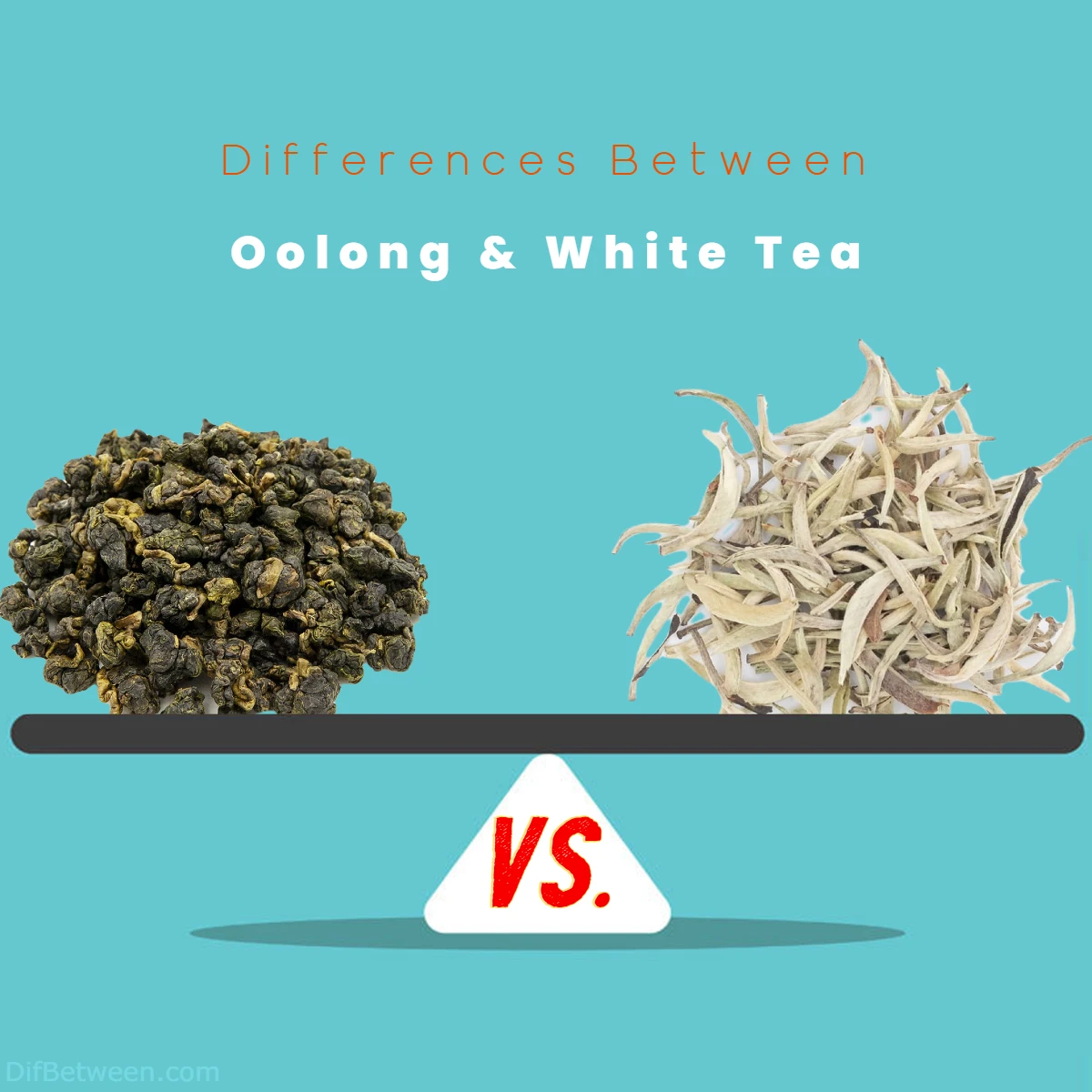 Differences Between White Tea and Oolong Tea