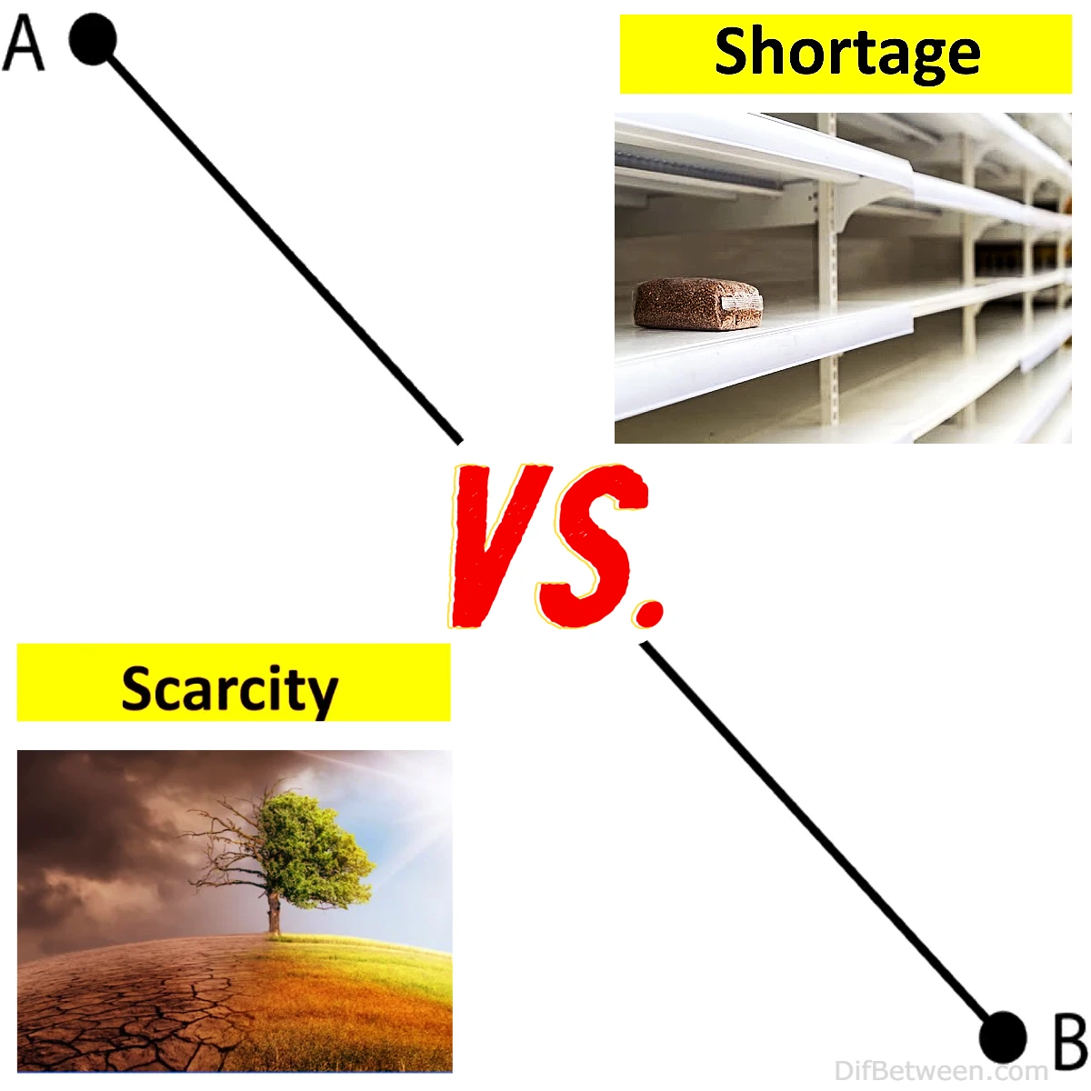 Differences between Shortage and Scarcity