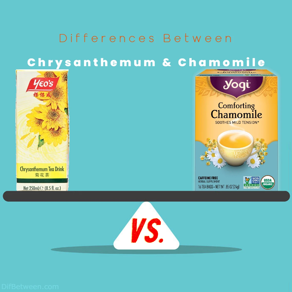 Difference Between Chamomile Tea and Chrysanthemum Tea