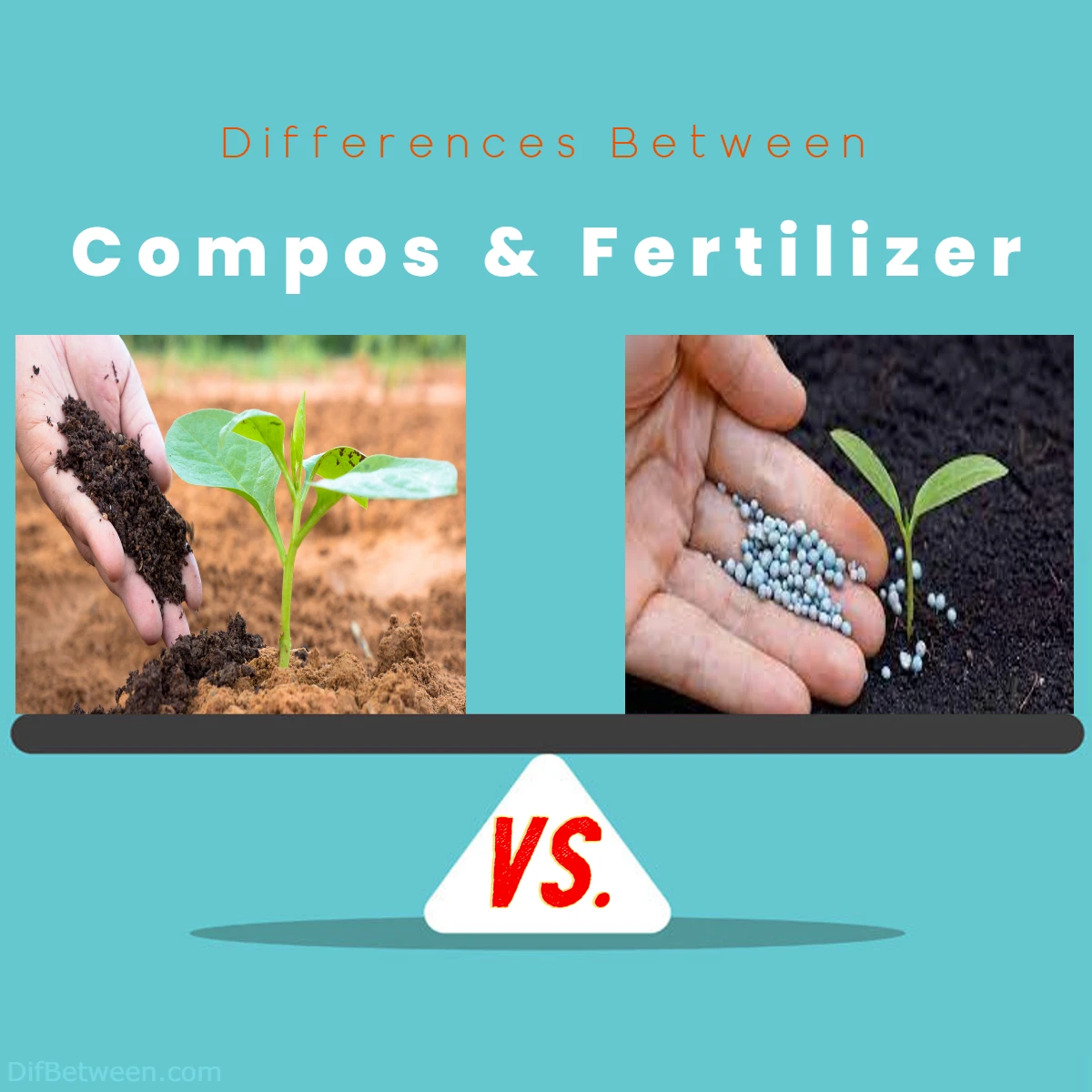 Compost vs Fertilizer Key Differences Explained