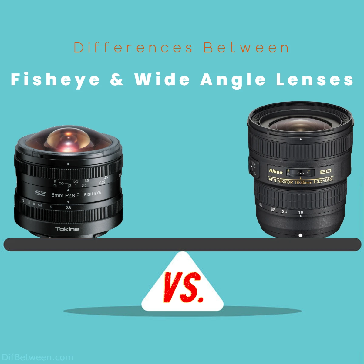Difference Between Fisheye and Wide Angle Lenses