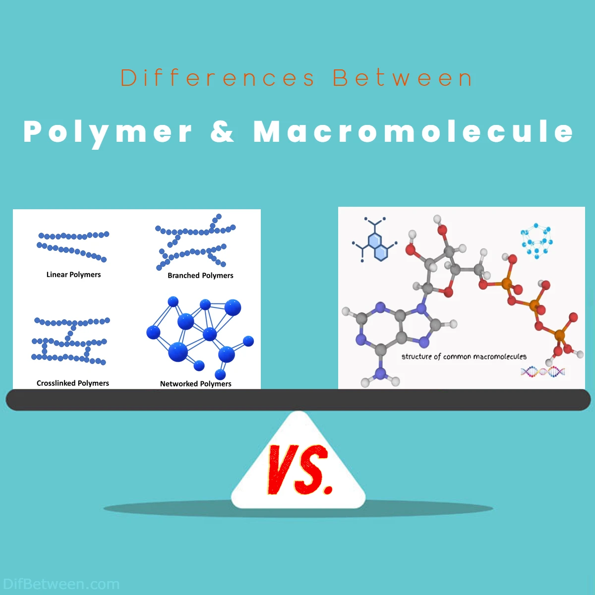 Difference Between Macromolecule and Polymer