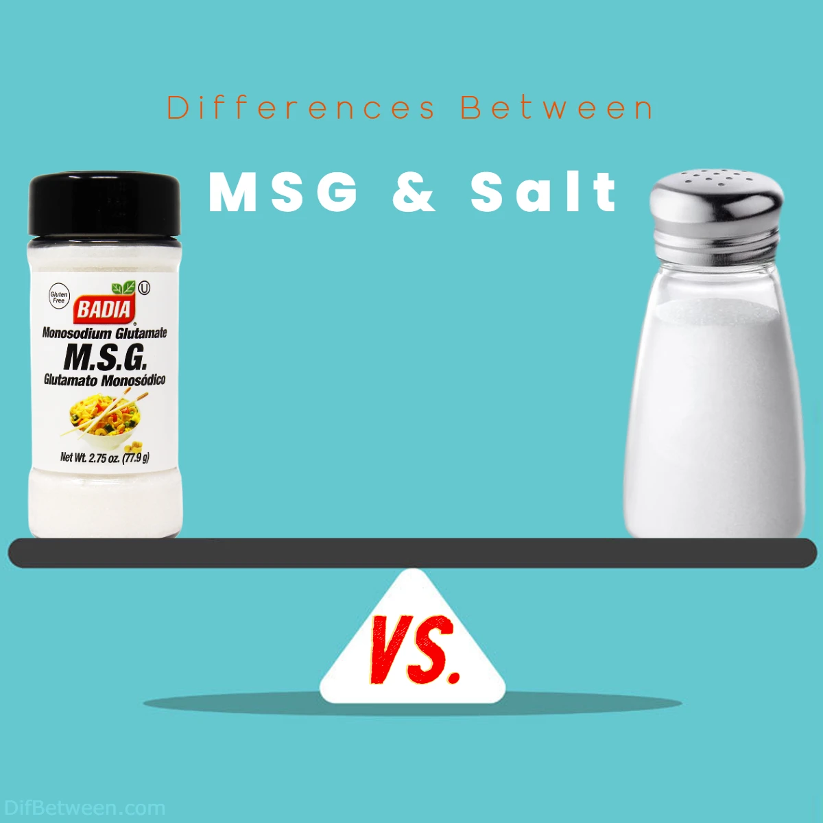 Difference Between Salt and MSG