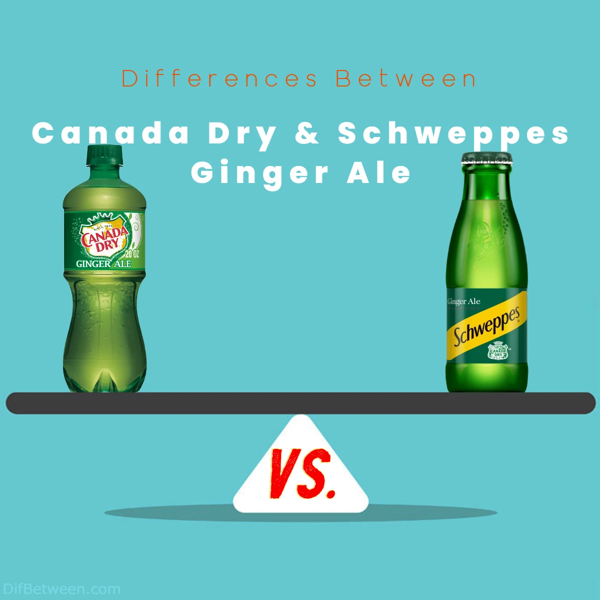 Canada Dry vs Schweppes Ginger Ale A Tasty Comparison