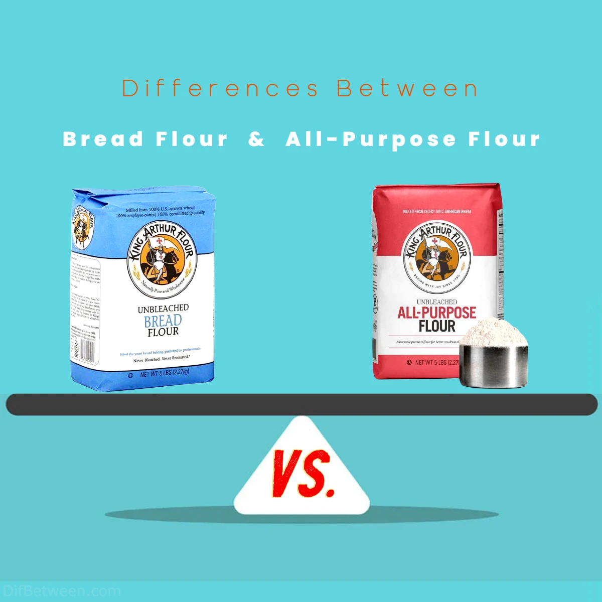 Differences Between Bread Flour vs All Purpose Flour