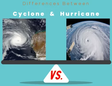 What is a typhoon vs tsunami