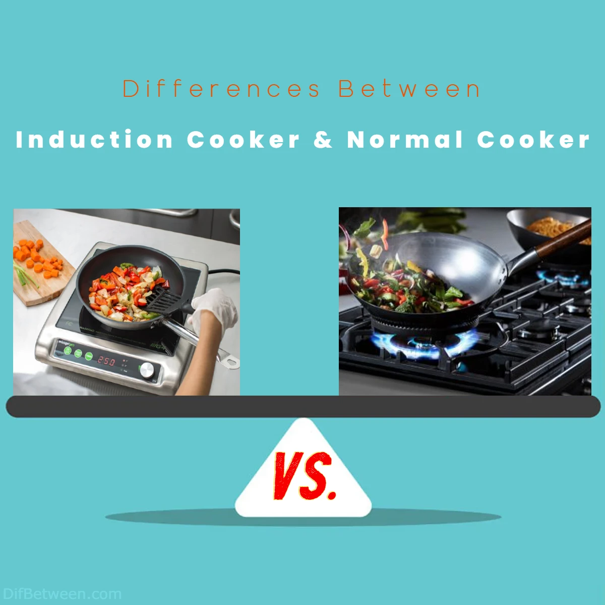 Differences Between Induction Cooker vs Normal Cooker
