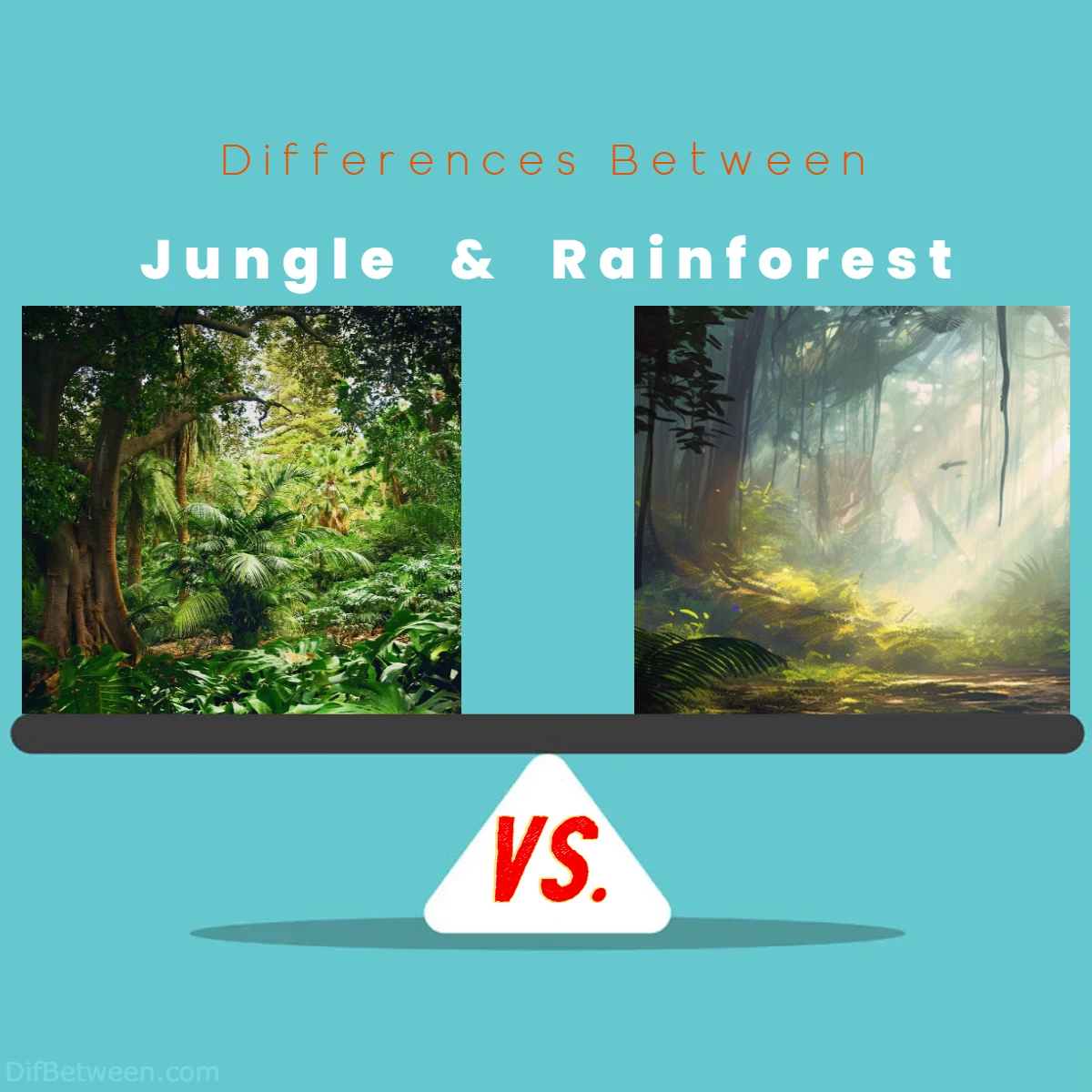 Differences Between Jungle vs Rainforest