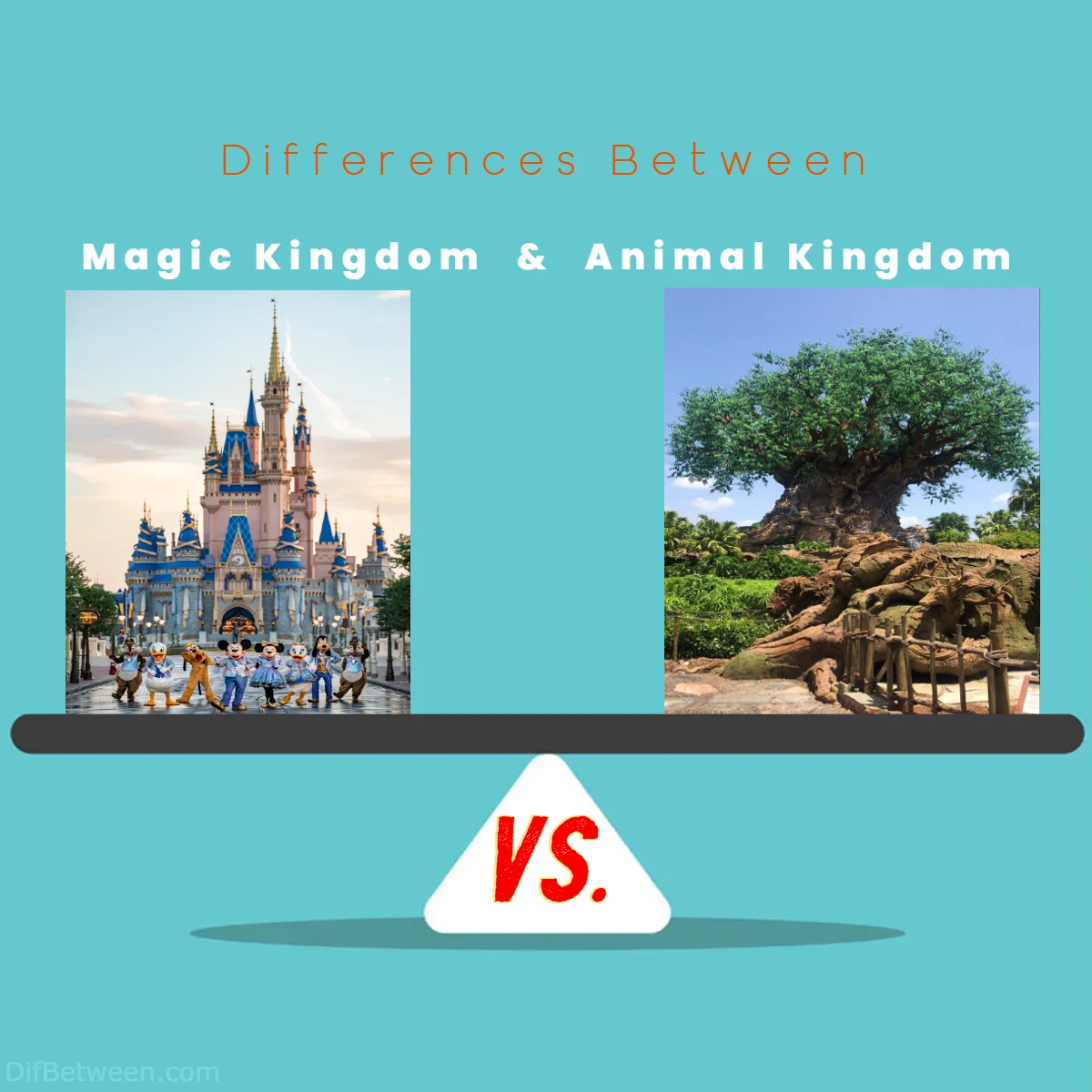 Differences Between Magic Kingdom vs Animal Kingdom