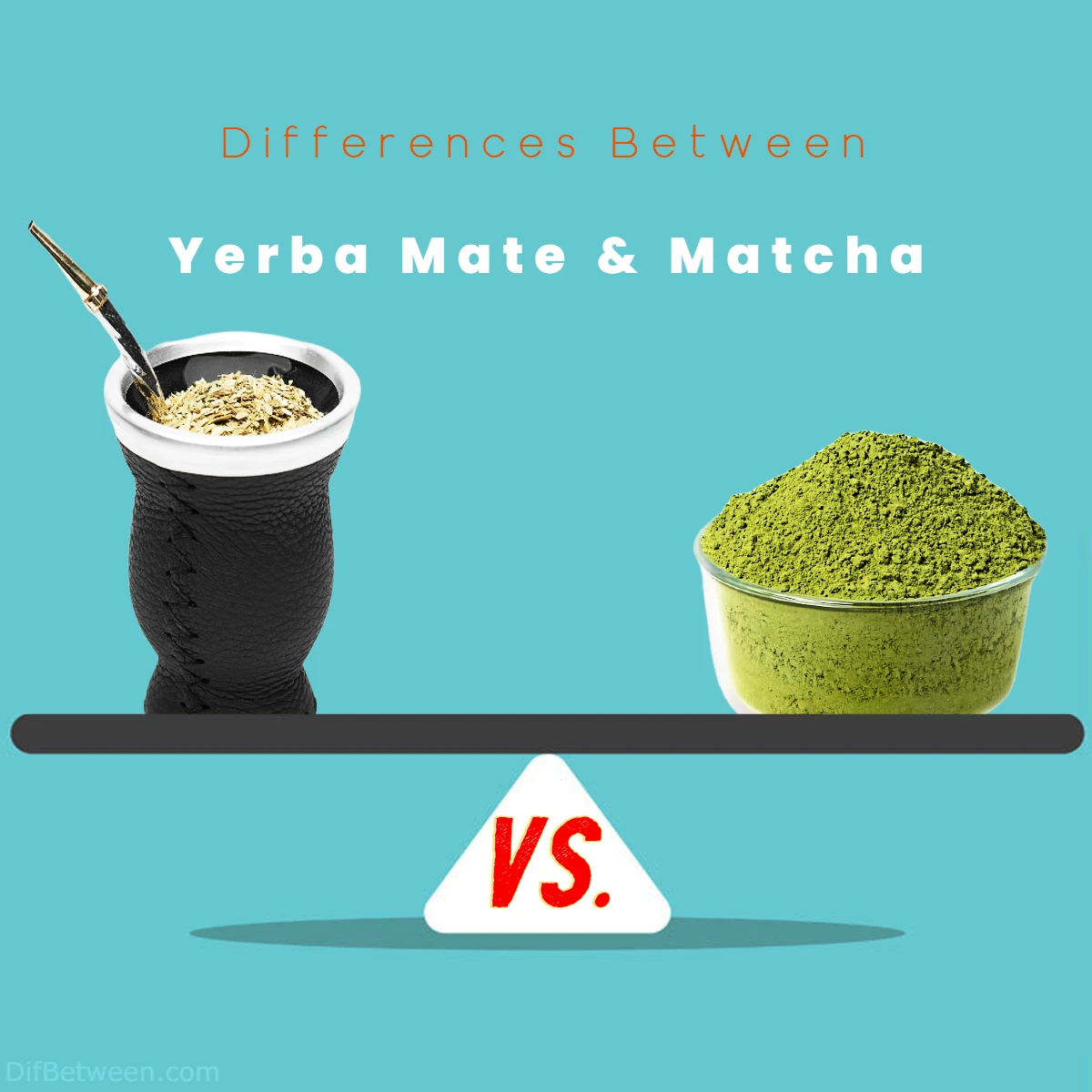 Differences Between Matcha vs Yerba Mate