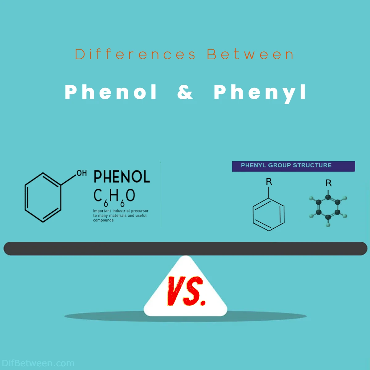 Differences Between Phenol vs Phenyl