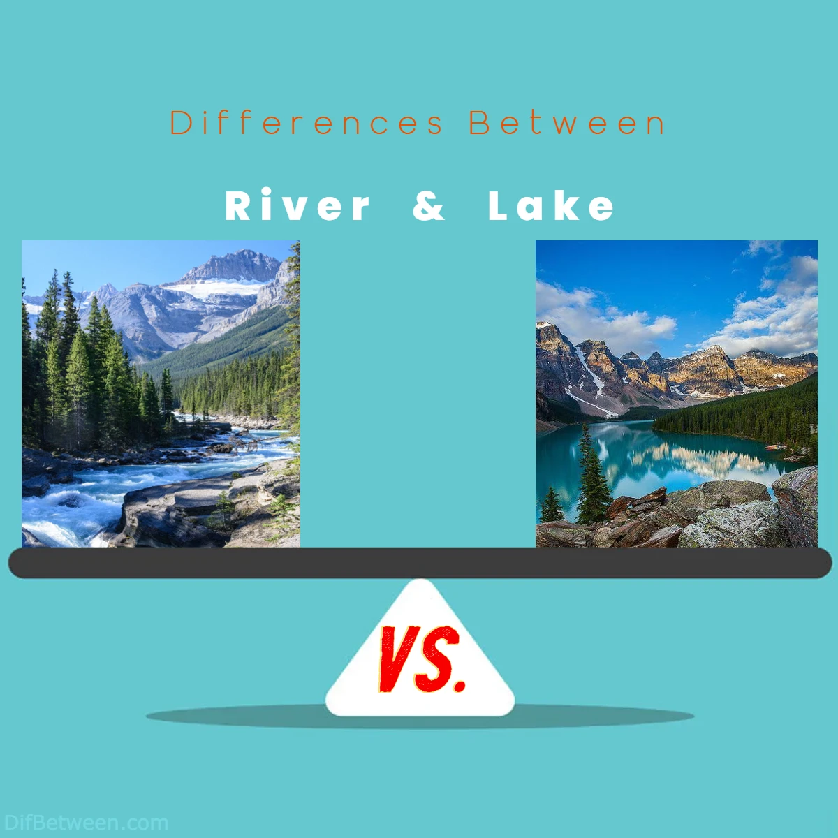 Differences Between River vs Lake
