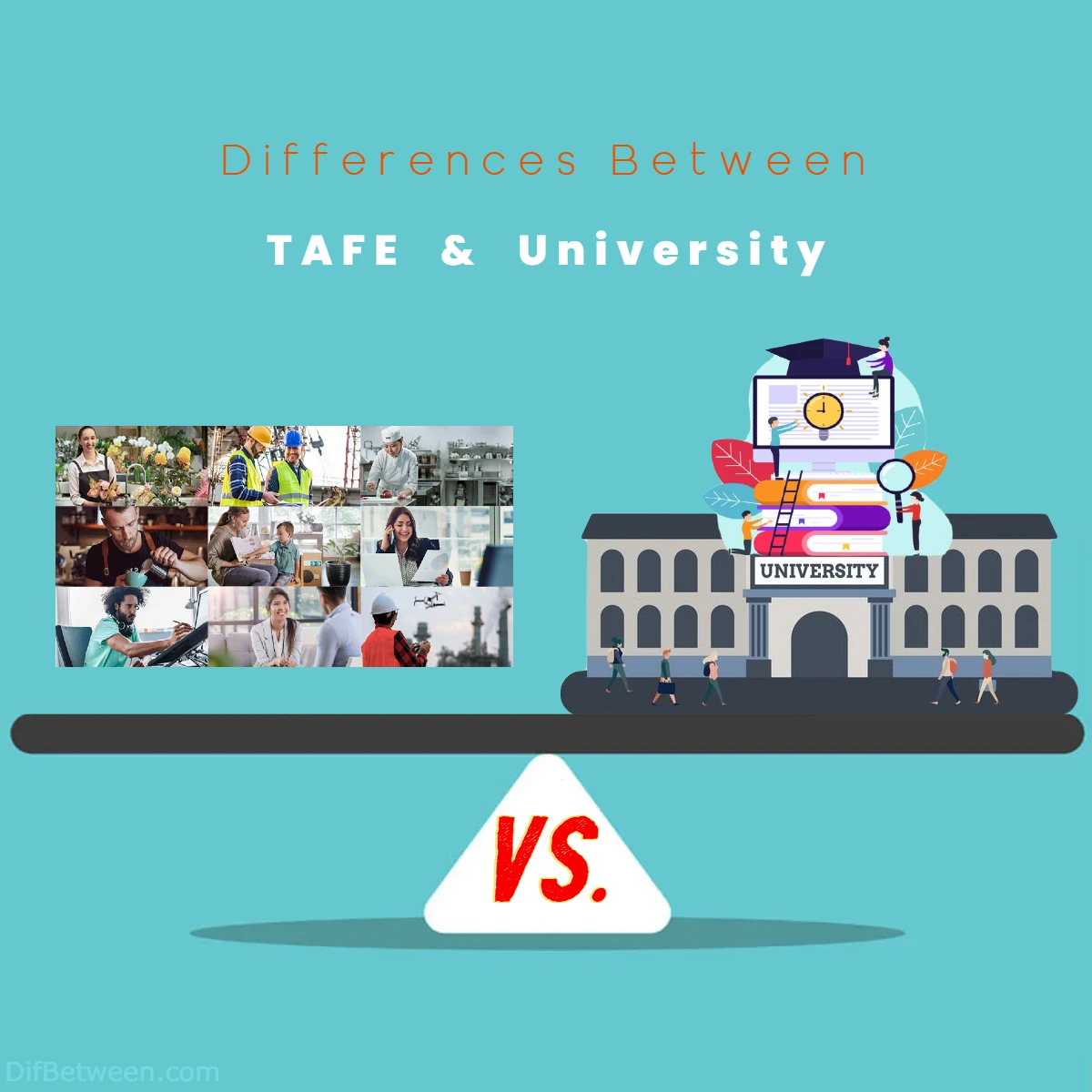 Differences Between TAFE vs University