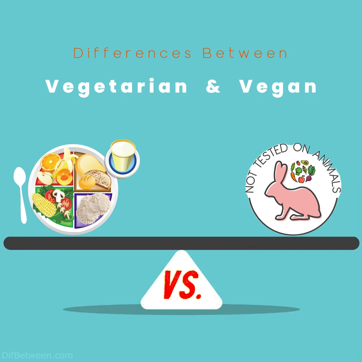 Differences Between Vegetarian vs Vegan