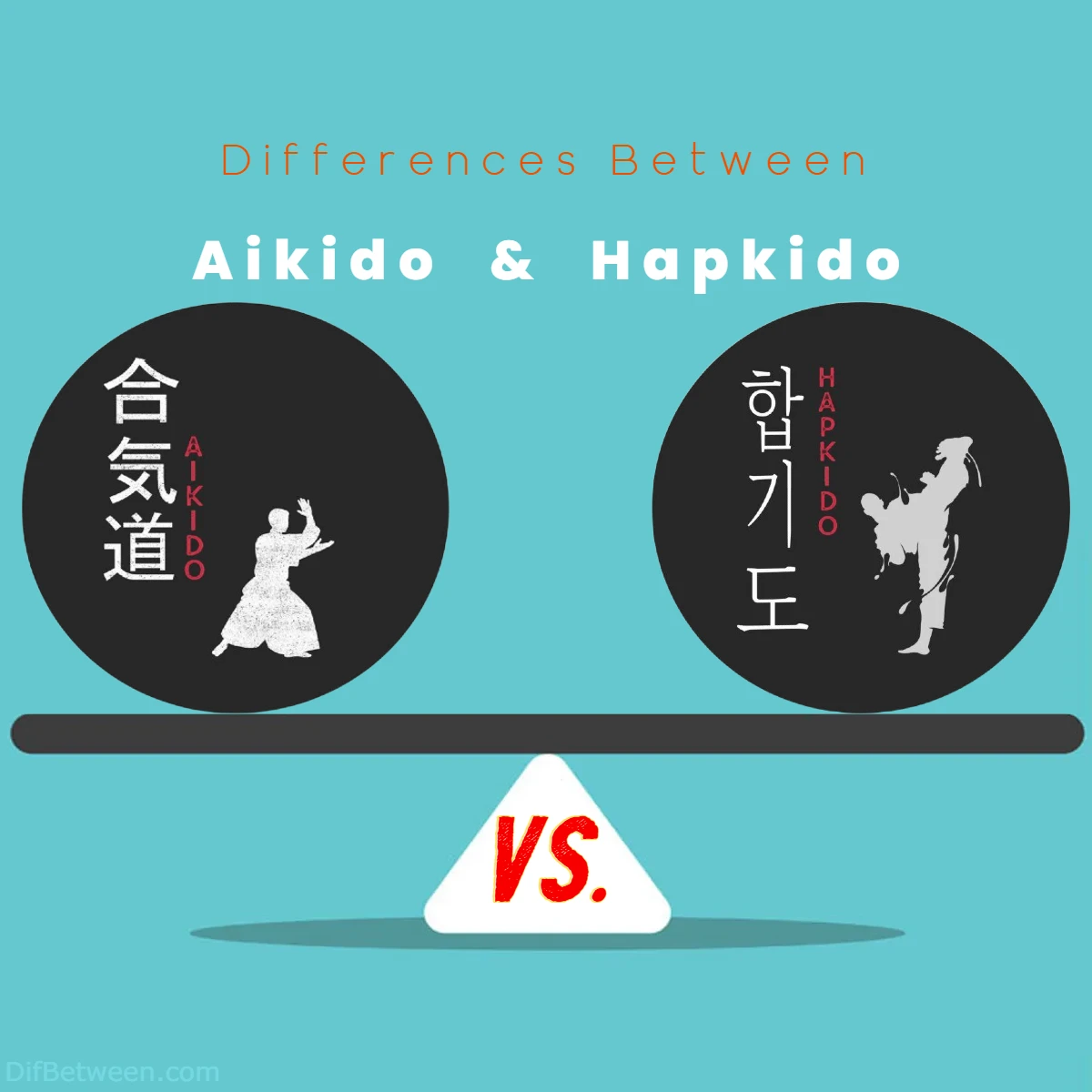 Differences Between Aikido vs Hapkido